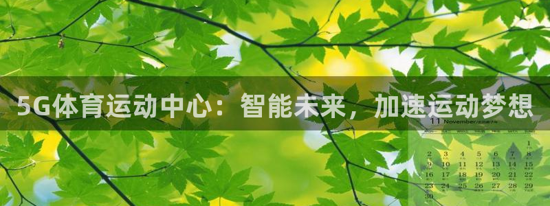 雷鸟体育正版下载：5G体育运动中心：智能未来，加速运动梦想