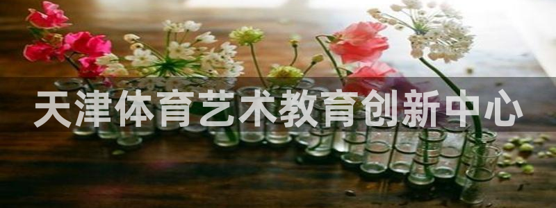 雷鸟体育APP下：天津体育艺术教育创新中心