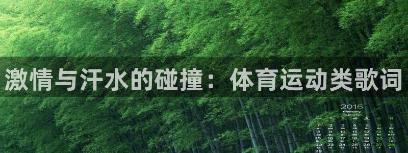 雷鸟体育免费直播软件下载：激情与汗水的碰撞：体育运动类歌词