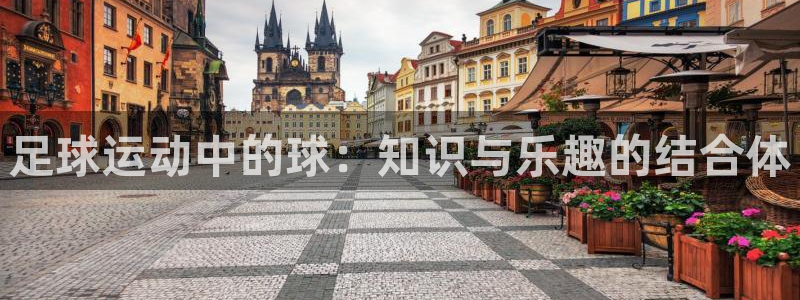 雷鸟体育app：足球运动中的球：知识与乐趣的结合体