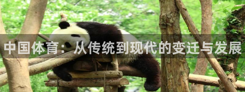 雷鸟体育官网入口：中国体育：从传统到现代的变迁与发展