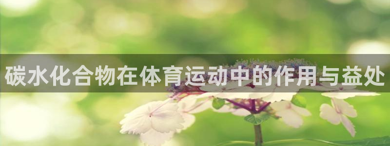 雷鸟体育苹果怎么下载：碳水化合物在体育运动中的作用与益处