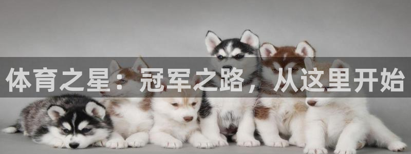 雷鸟体育cba：体育之星：冠军之路，从这里开始