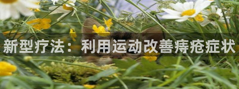 雷鸟体育cba：新型疗法：利用运动改善痔疮症状